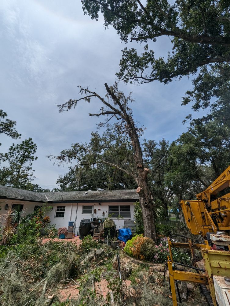 All Photos for Regal Tree Service and Stump Grinding in Wauchula, FL
