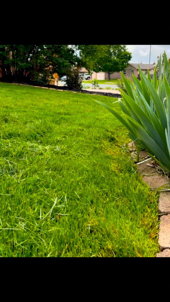 All Photos for Denver Bros Lawn Control in Denver, CO