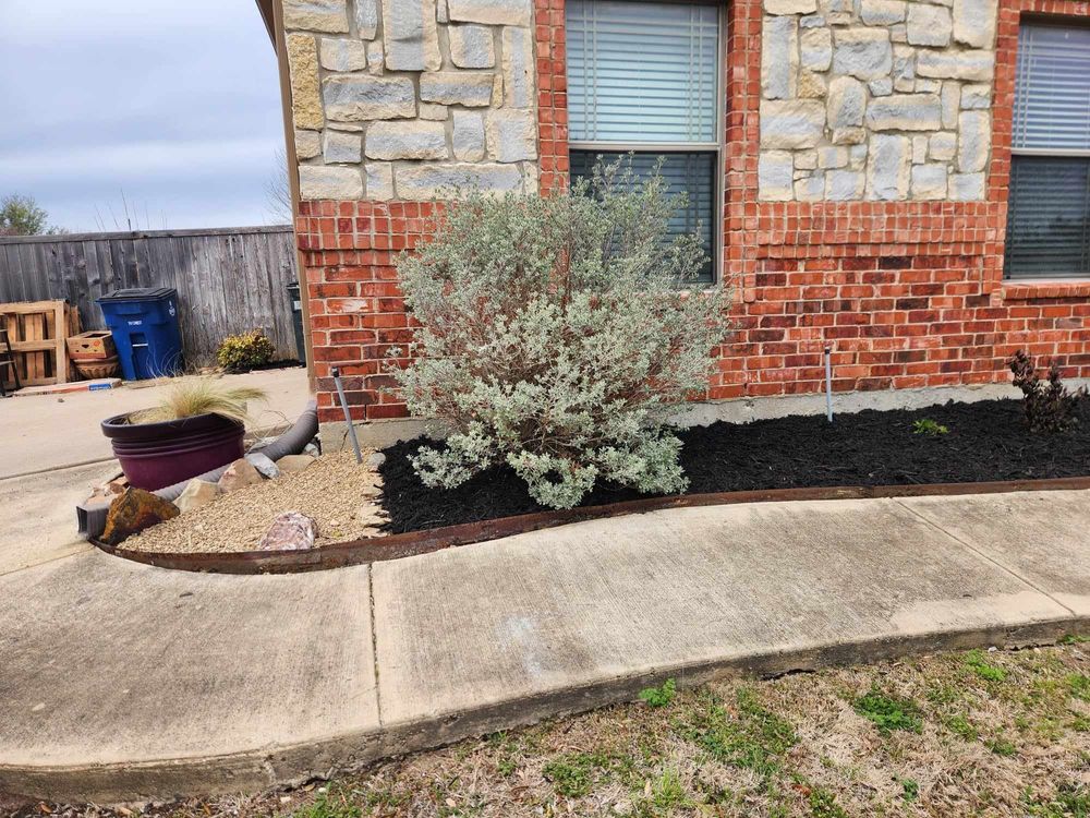 All Photos for Paquito's Landscaping in Ellis County, TX