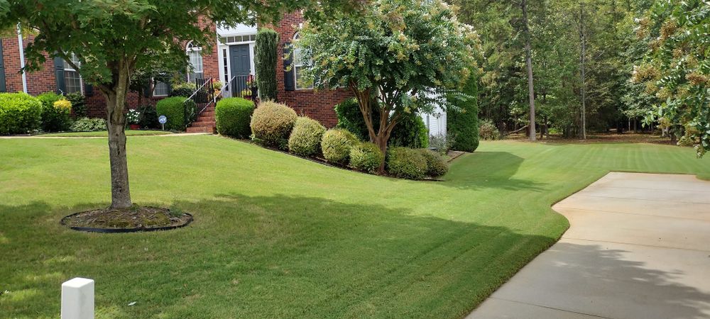 Our Shrub Trimming service provides homeowners with a professional trimming of their shrubs. This service is great for those who want to keep their shrubs looking tidy and well-manicured all year long. for Palmetto Cuts Lawn Care LLC in Simpsonville, SC