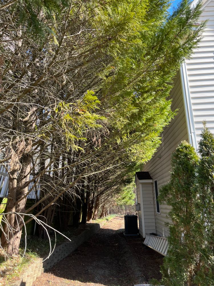 All Photos for Atlas Home Services in Mechanicsville, VA