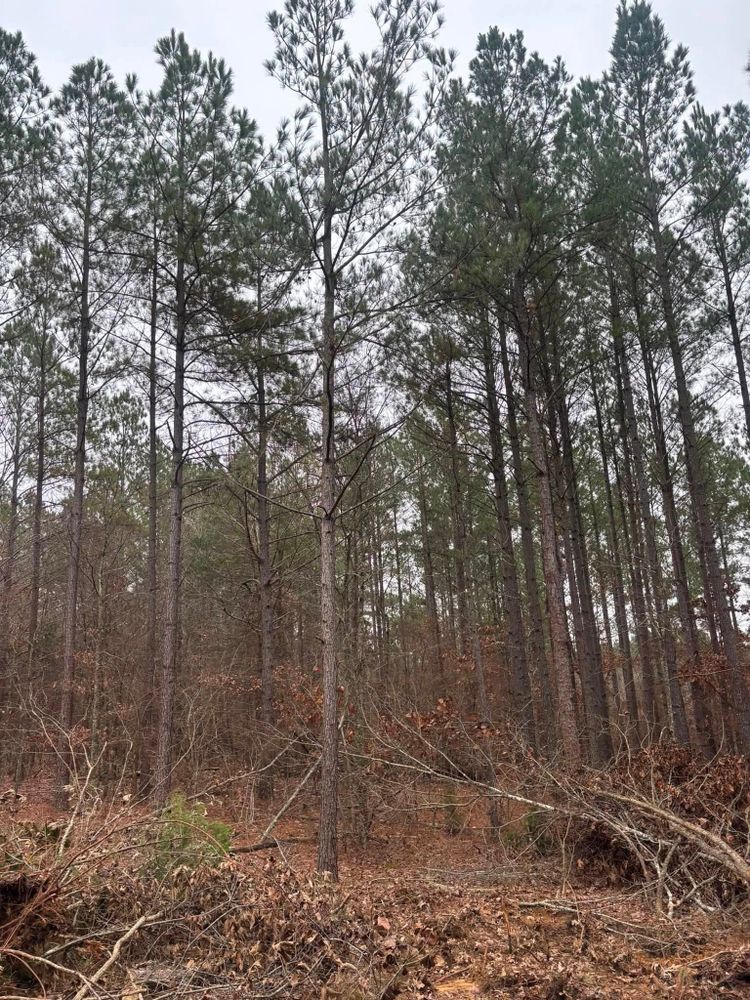 All Photos for Ross Excavation & Land Development in Middleton, TN
