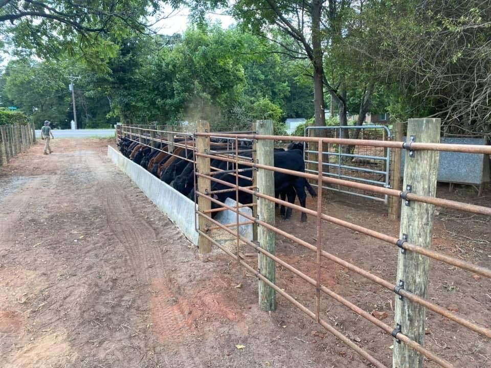 Fence for LB Fencing & Services in Archdale, NC