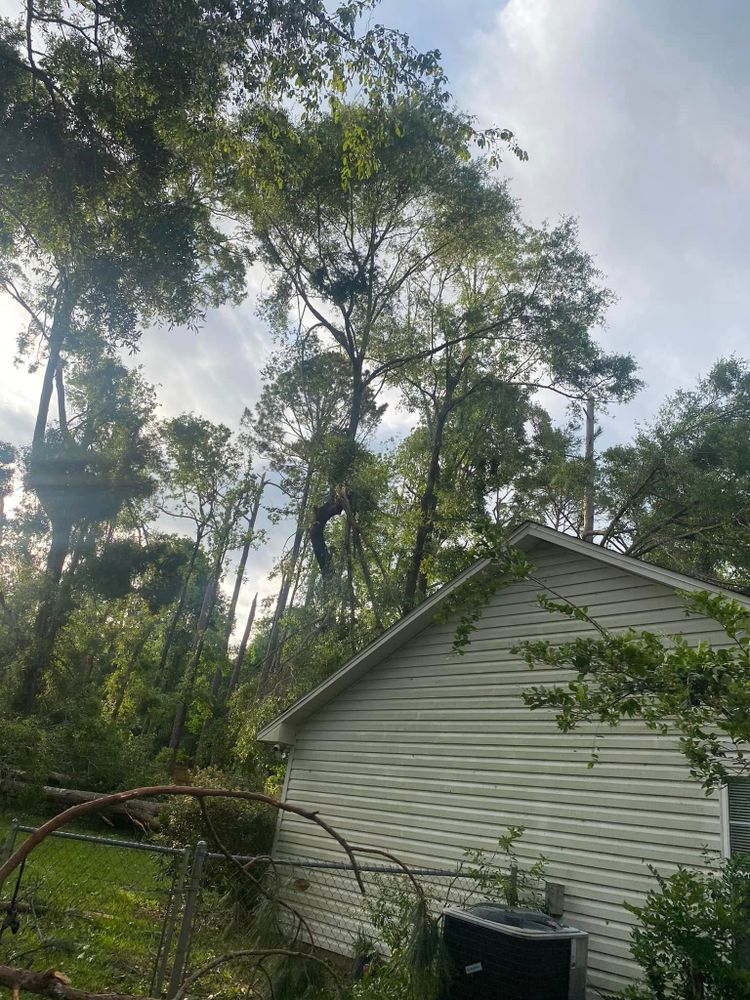 All Photos for Tates Tree Service in Tallahassee, FL