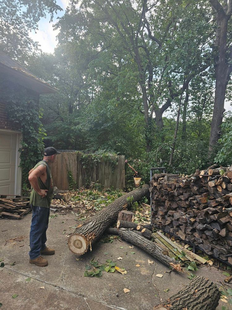 All Photos for Millers Tree Service in Saline County, AR