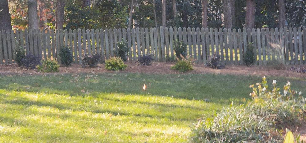 All Photos for Grand Design Outdoor Enhancements in Raleigh, NC
