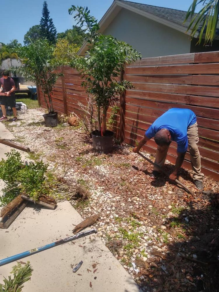 Landscaping for Team Tolson Landscape in Tampa Bay, FL