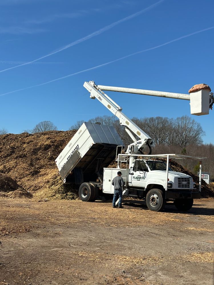 Tree Service for Platinum Outdoor Services LLC in Conover, NC