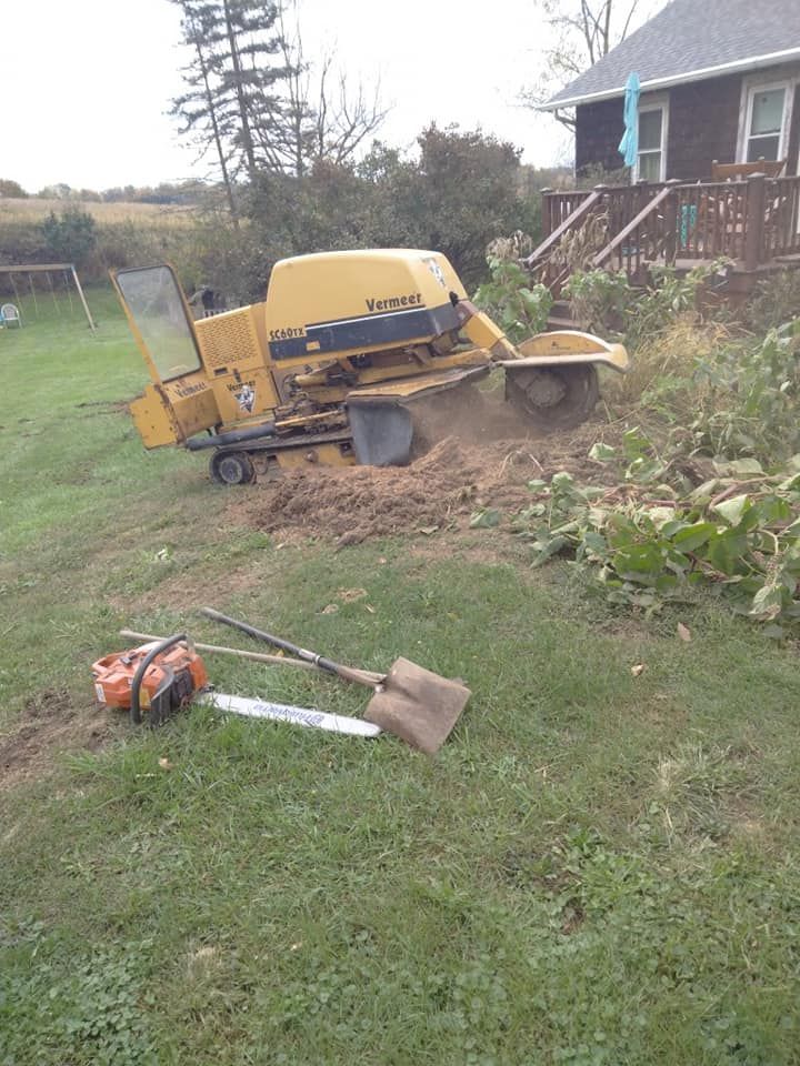 Our Stump Removal service effectively eliminates unwanted tree stumps from your property, leaving you with a clean and aesthetically pleasing outdoor space. for Billiter's Tree Service, LLC in Rootstown, Ohio