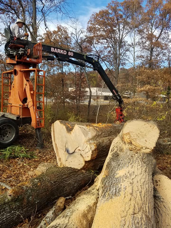 Our professional Tree Removal service safely and efficiently eliminates unwanted trees from your property, enhancing safety, aesthetics, and overall landscape health. Contact us today for a free consultation. for Rush Tree Specialist in Knoxville, TN