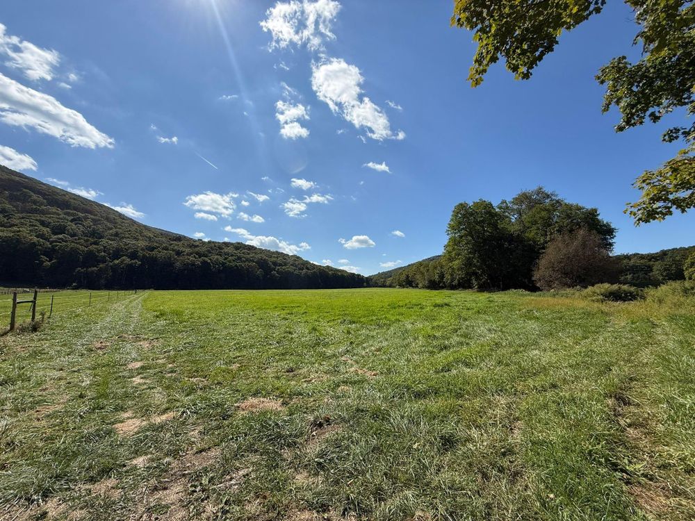All Photos for LJ Lawn & Property Maintenance, Inc. in Cold Spring, New York