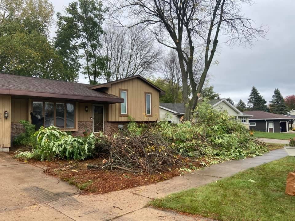 All Photos for Tree-B-Gone in Shawano, WI