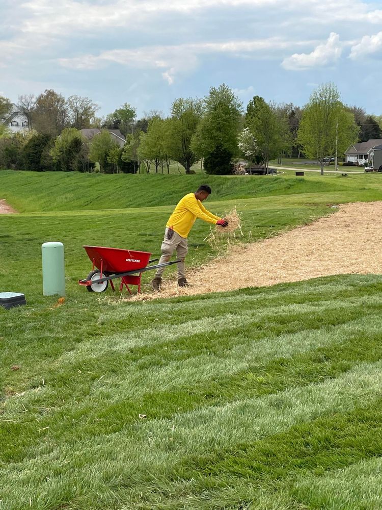 Landscaping for Transforming Landscaping & Tree Service in Bowling Green, KY