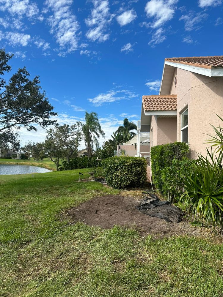 Tree Removal for MX Trees LLC in Englewood, FL