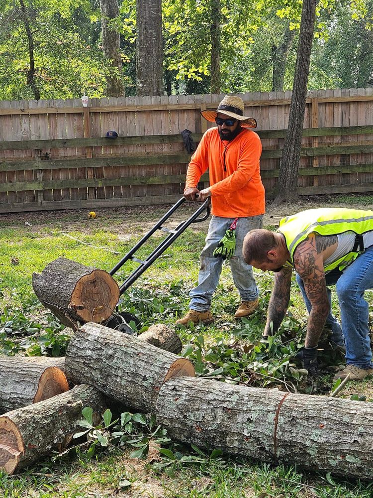 Our High Risk Tree Removal service ensures safe and efficient removal of hazardous trees, protecting your property. Our experienced team handles complex tree removal tasks with precision and care for peace of mind. for American Tree Masters in Alvin, TX