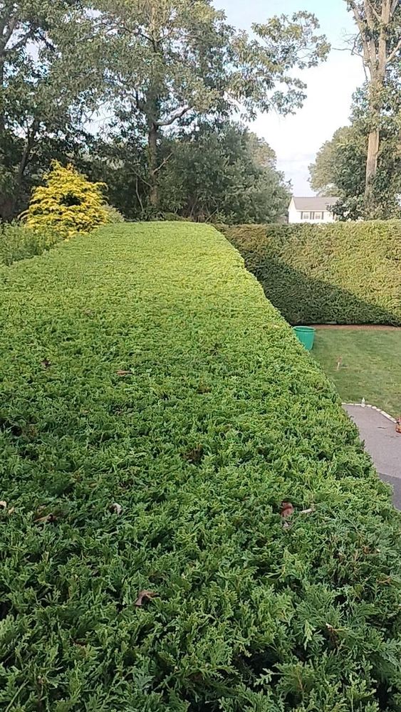 All Photos for CHACH Landscaping & Construction in Providence, RI