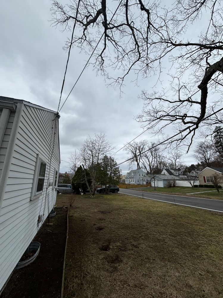 All Photos for T's Trees in Albany, NY