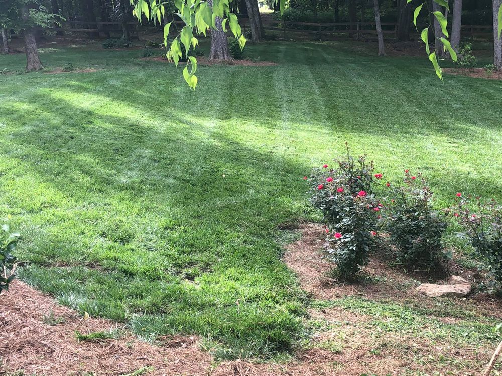 Fall and Spring Clean Up for Battle Lawn Maintenance in Eatonton, GA