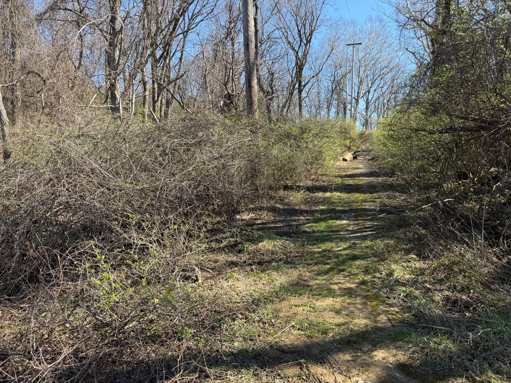 All Photos for A1 Bush Hogging & Lawn Service in London, OH