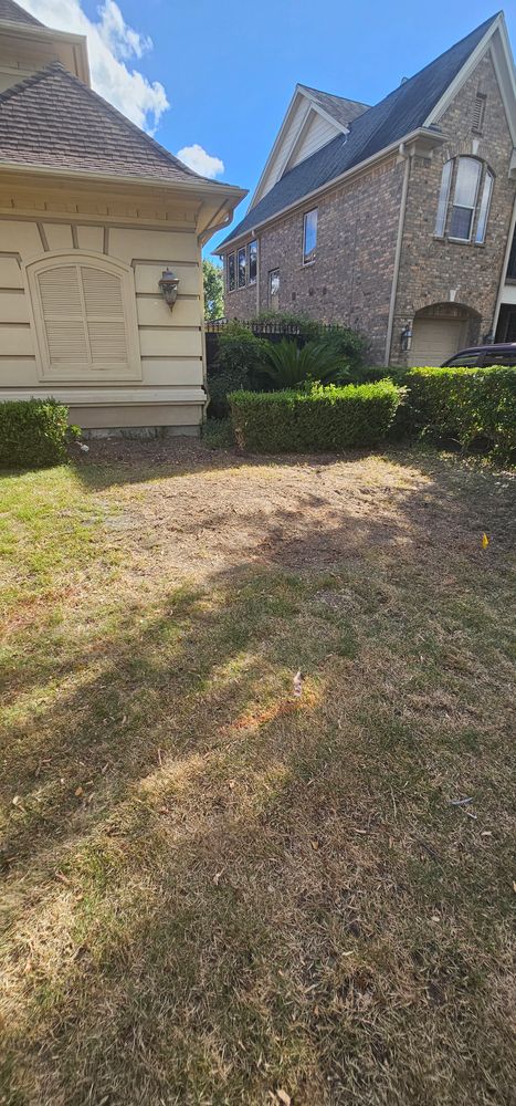 All Photos for Servin's Tree Care  in Houston, TX