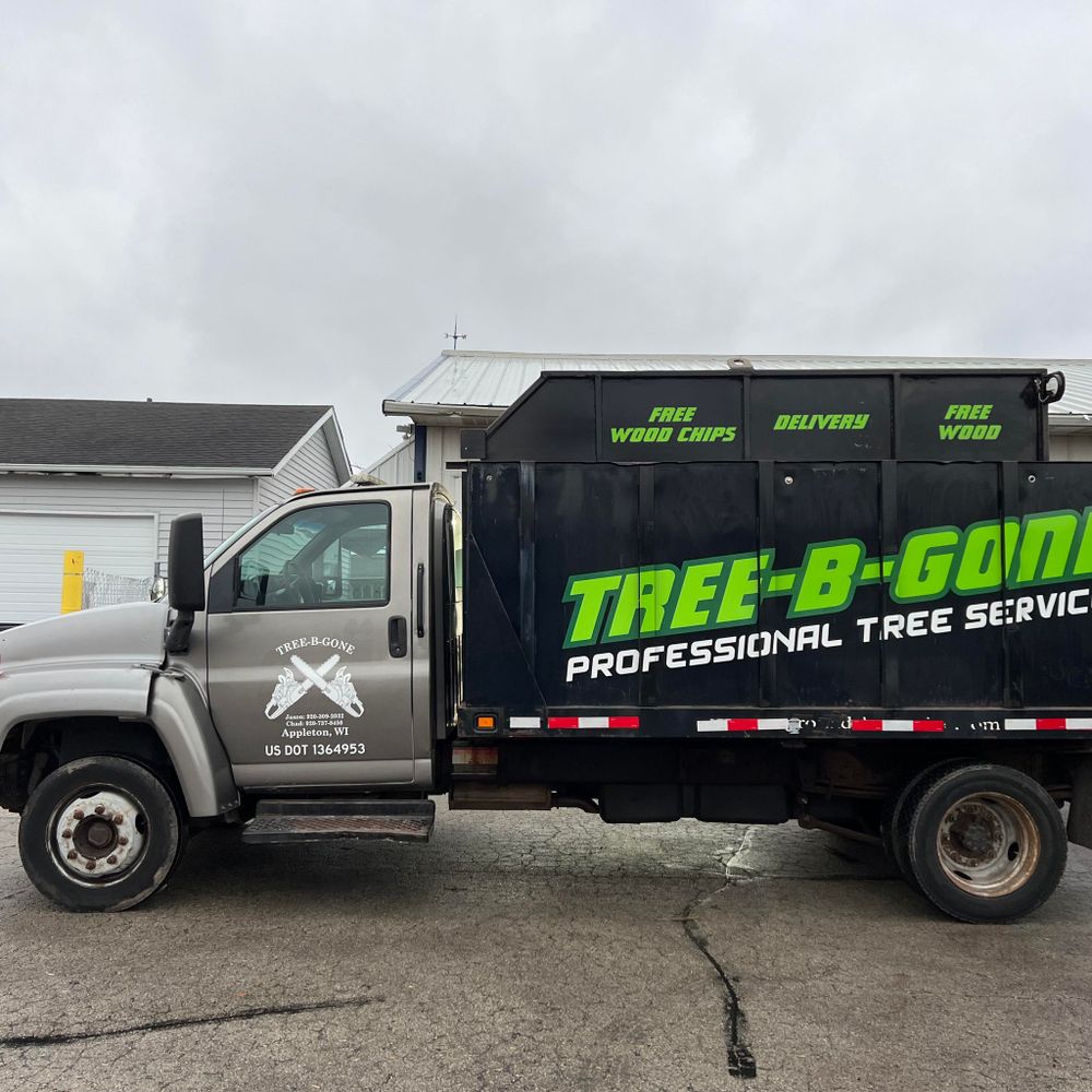 Tree Removal for Tree-B-Gone in Shawano, WI