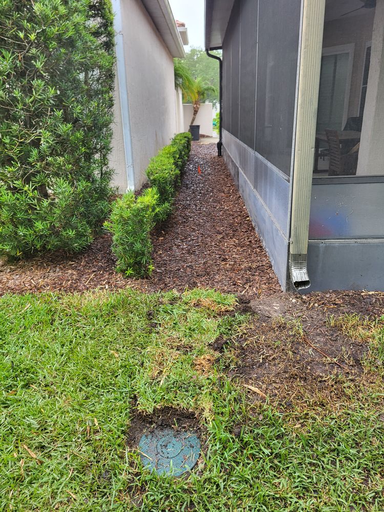 All Photos for Sam's French Drains and Landscape in Orlando, Florida