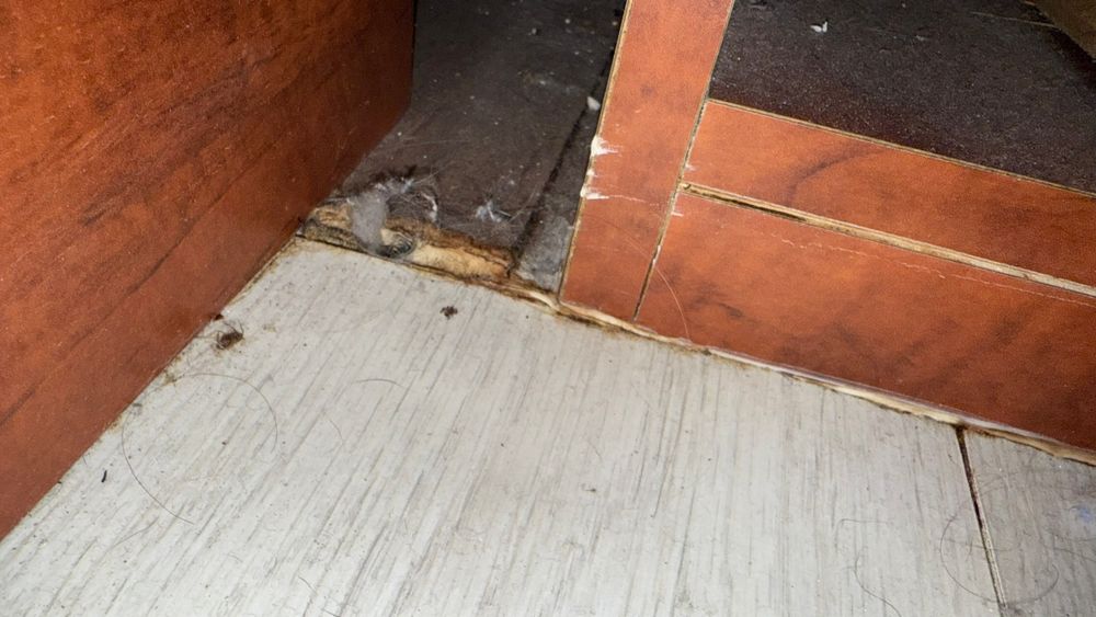 All Photos for Surplus Public Adjusters in Miami-Dade County, FL