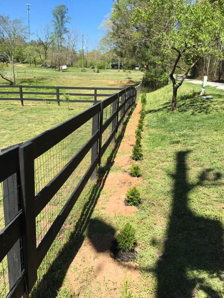 All Photos for Clear Tree Land Solutions in Dawson County, GA