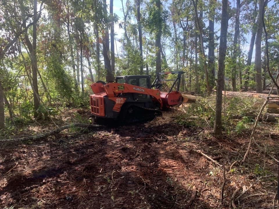 Tree Removal for Coastal Tree & Stump in Charleston, SC