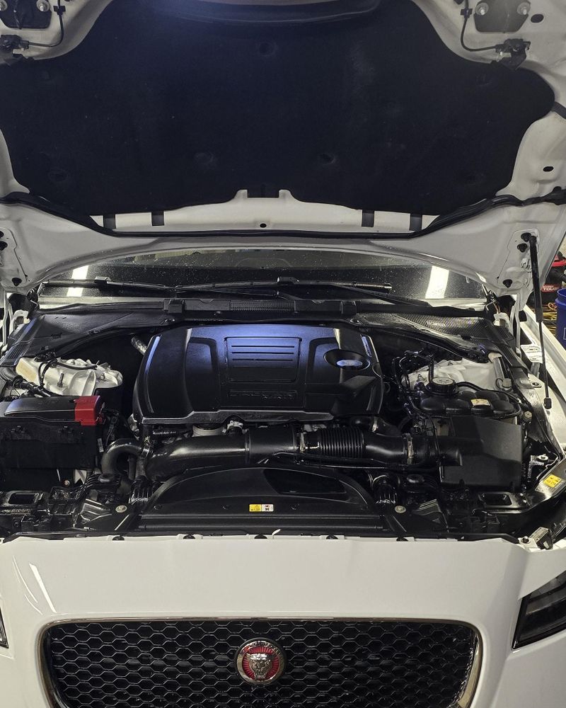 All Photos for Luxury Auto Detail in Peoria, IL