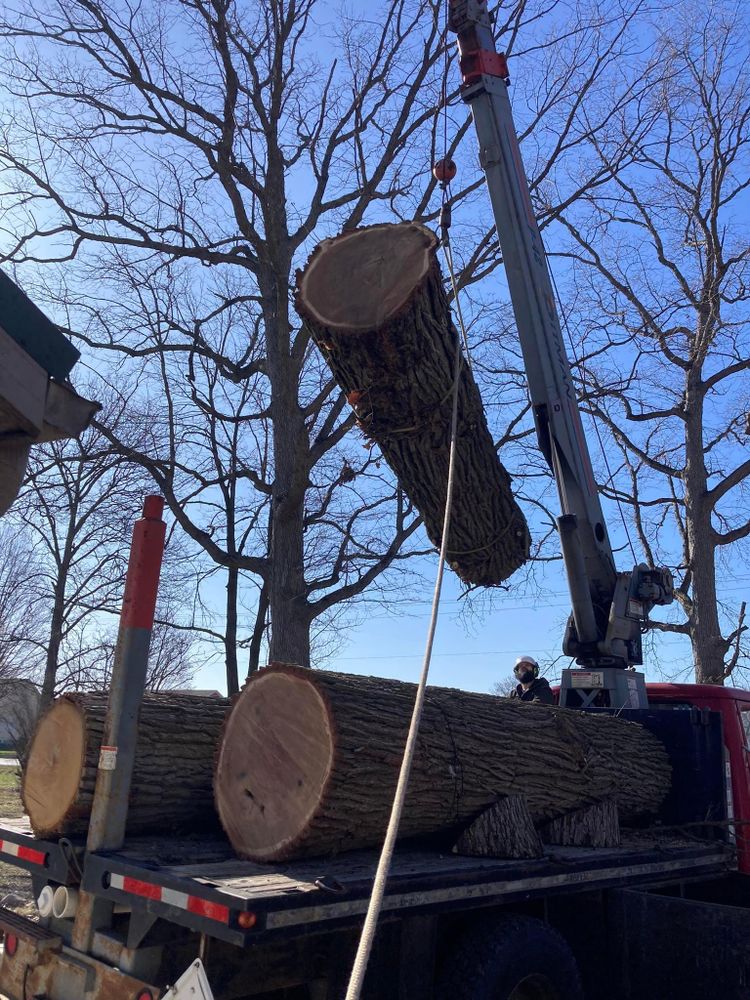 All Photos for Summit Tree Care LLC in Fort Wayne, IN