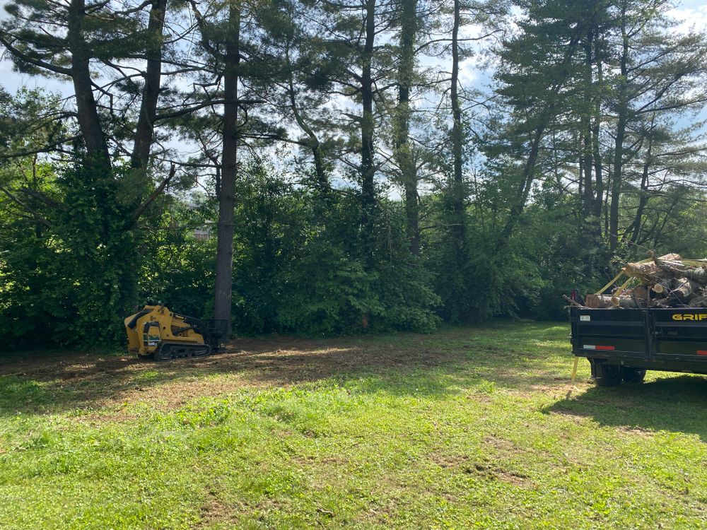 All Photos for Houtz Tree Service in Lexington, KY