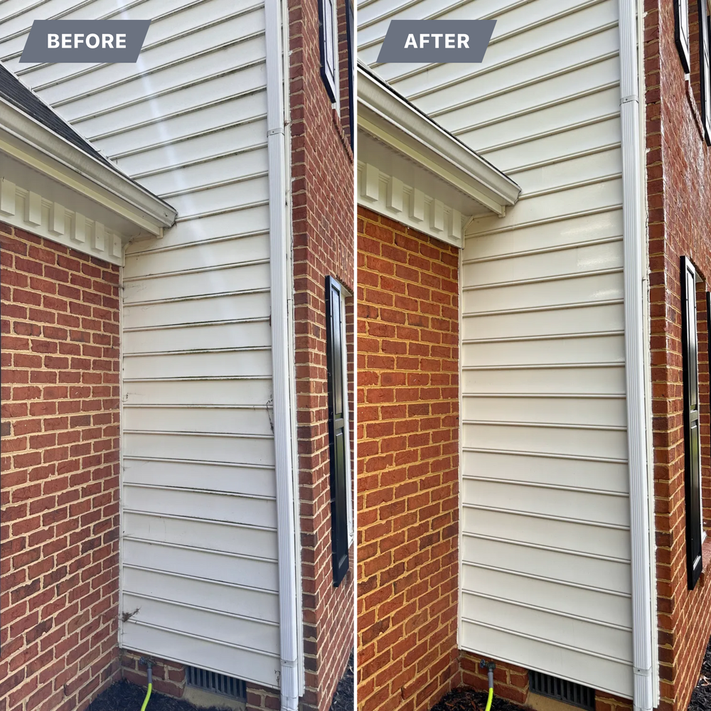 All Photos for LeafTide Solutions in Richmond, VA