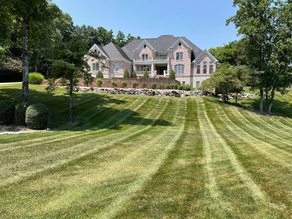 Landscaping for Transforming Landscaping & Tree Service in Bowling Green, KY