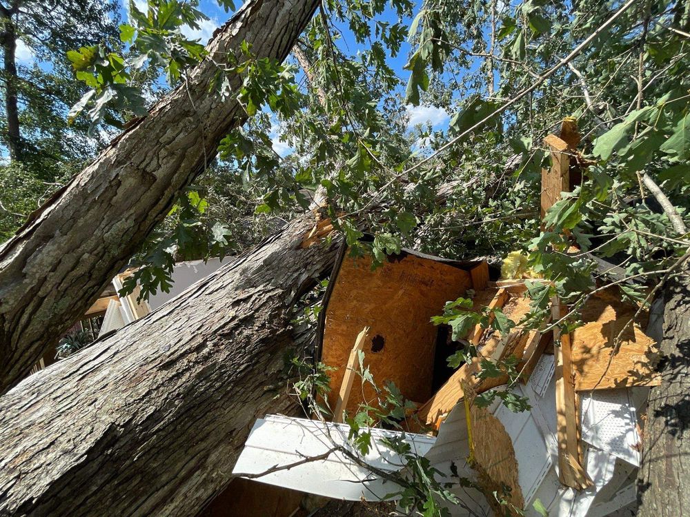 All Photos for Bulldawg Disaster Response in Atlanta, GA