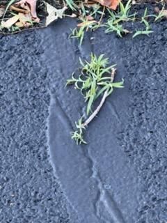 All Photos for James R Carter Paving in Roanoke, VA