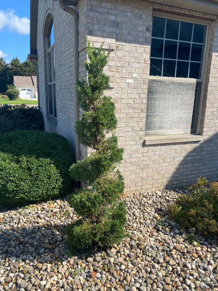 Shrub Trimming for AB Lawn Care in Plymouth, IN