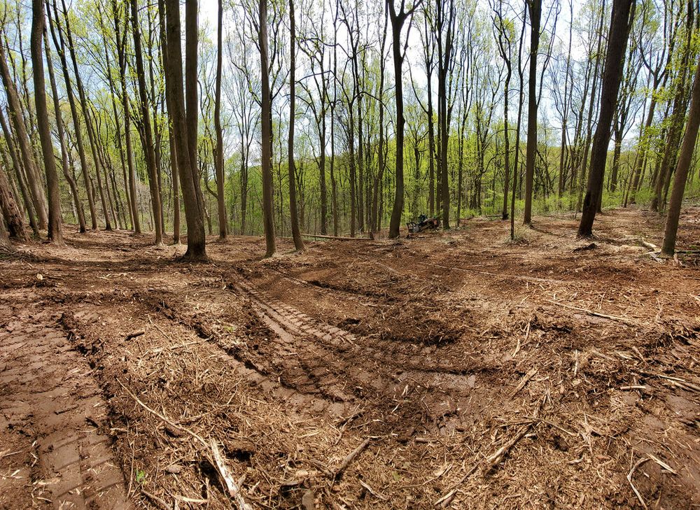 All Photos for Mill Creek Fencing&Landscaping in Lavinia, TN