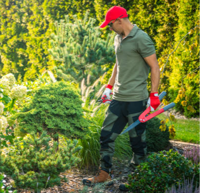 D’s Lawncare team in Killeen, TX - people or person