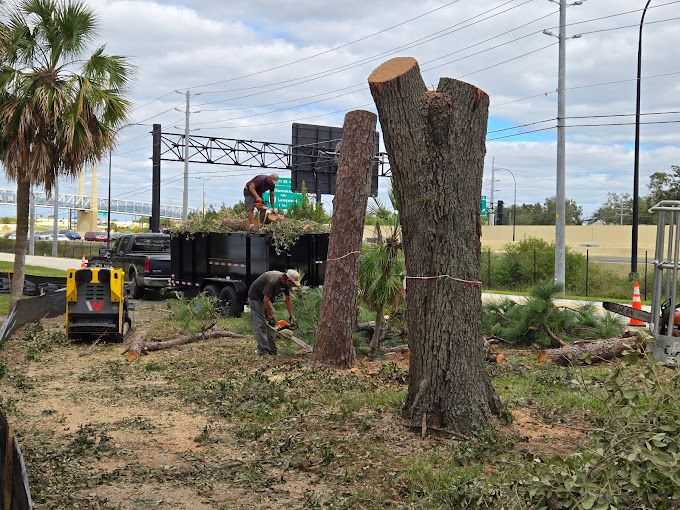 All Photos for Near Me Tree Service, Inc. in DeLand, FL