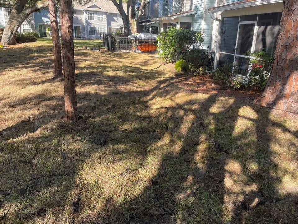 All Photos for Trinity Land Solutions in Brooksville, FL
