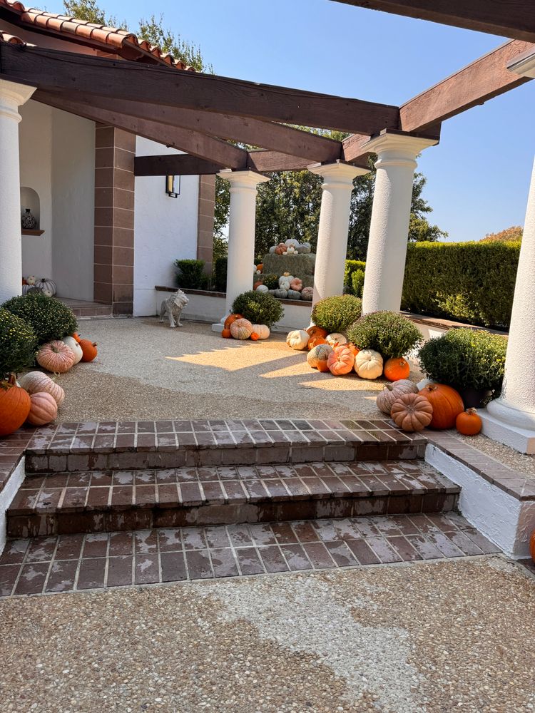 Fall Decorations  for Espinoza Landscape & Construction  in San Antonio, TX