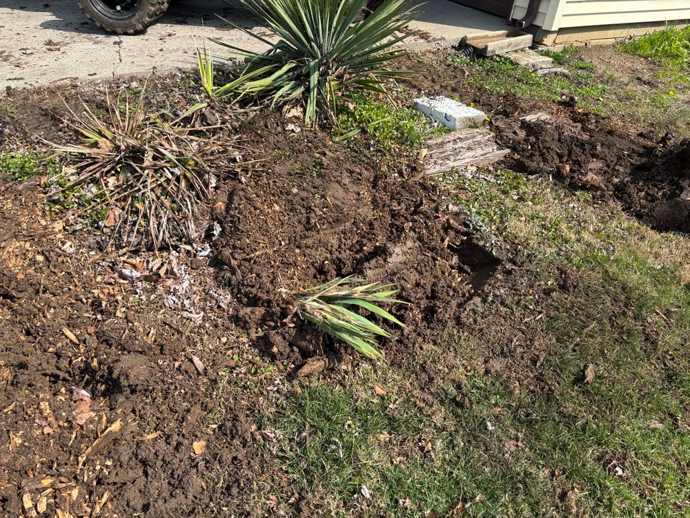 All Photos for Conrad's Stump Removal in Columbus, IN
