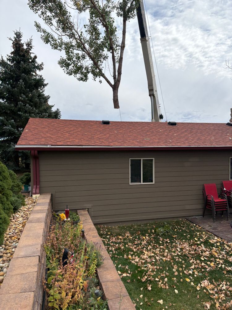 All Photos for Elevated Tree Care in Gillette, WY