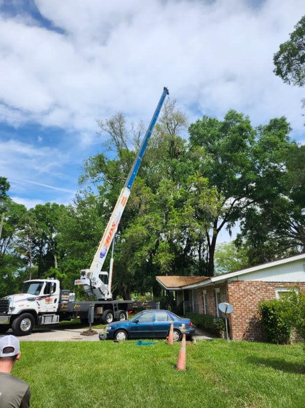 Our professional Tree Removal service safely and efficiently eliminates unwanted trees from your property, improving aesthetics, safety, and allowing for potential new landscaping projects. Contact us for a free consultation. for Top Notch Tree Experts in Orange Park, FL