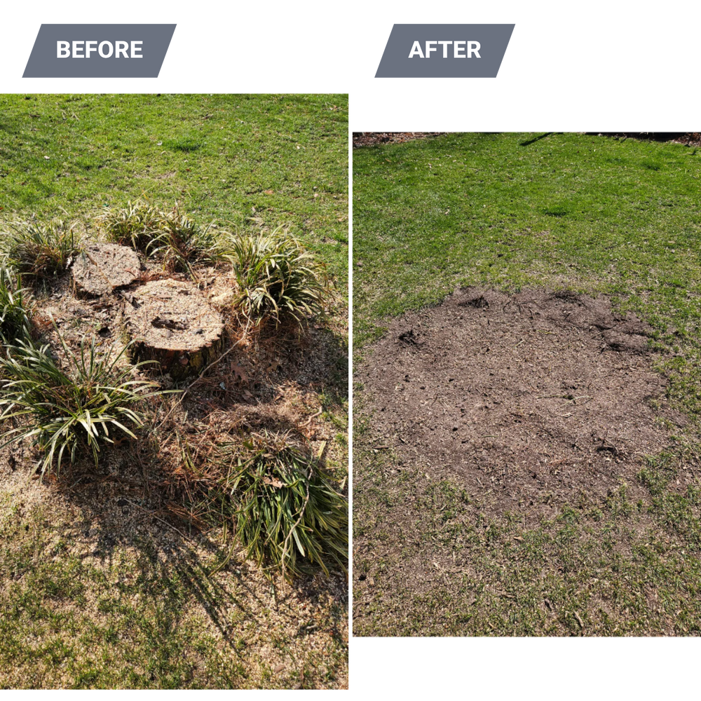 All Photos for Anchor & Grind Stump in Chesapeake, VA