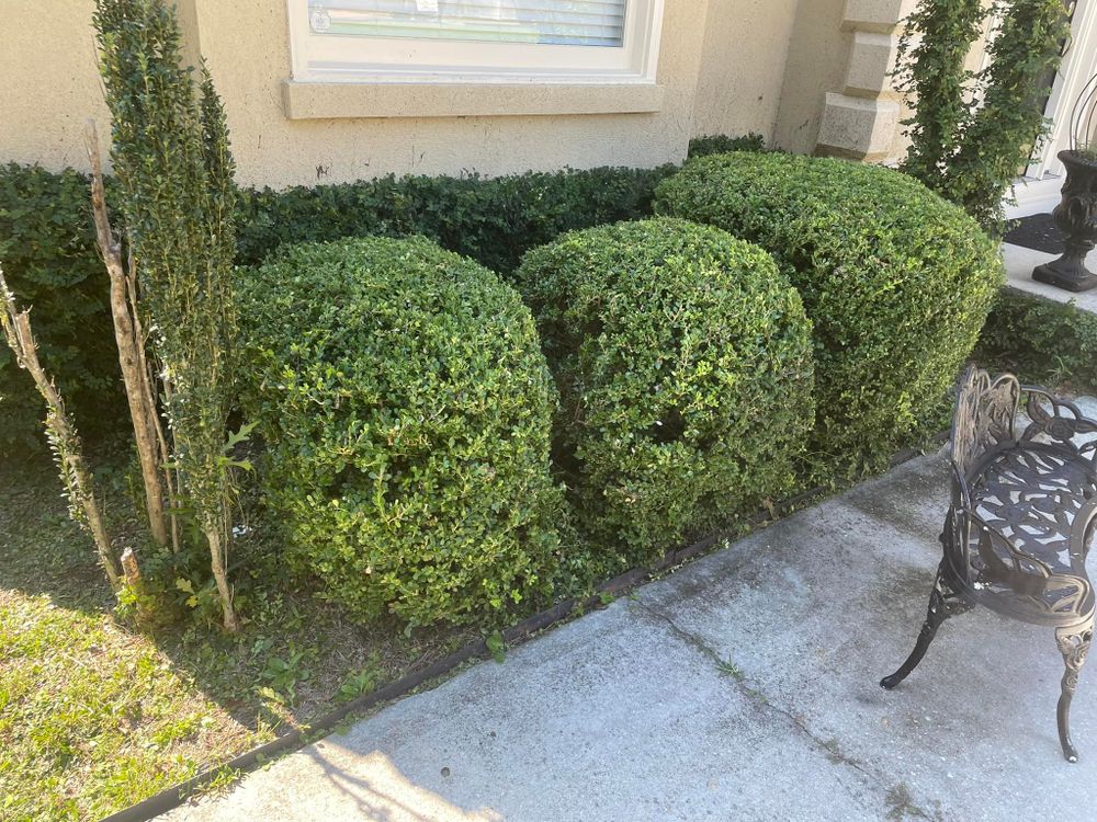 Landscaping for Sparks Landscaping in Augusta, GA