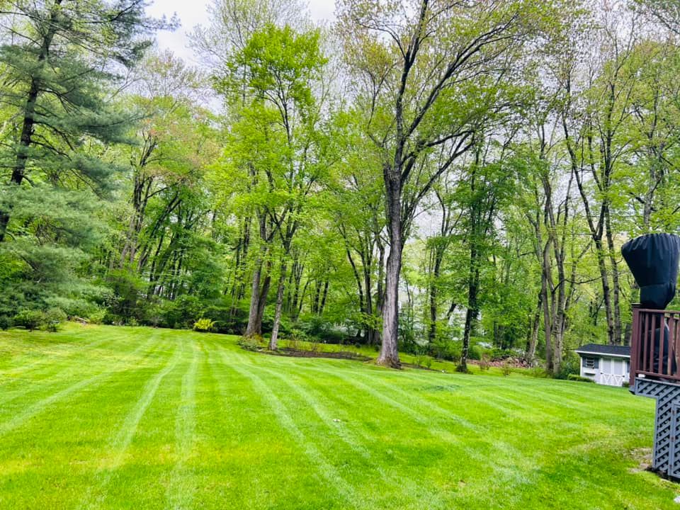Enhance your lawn's health with our professional aeration service, promoting root growth and nutrient absorption. experience a greener, more resilient yard as we alleviate soil compaction for thriving grass all year round. for Jose Gonzalez Landscaping in Stamford, CT
