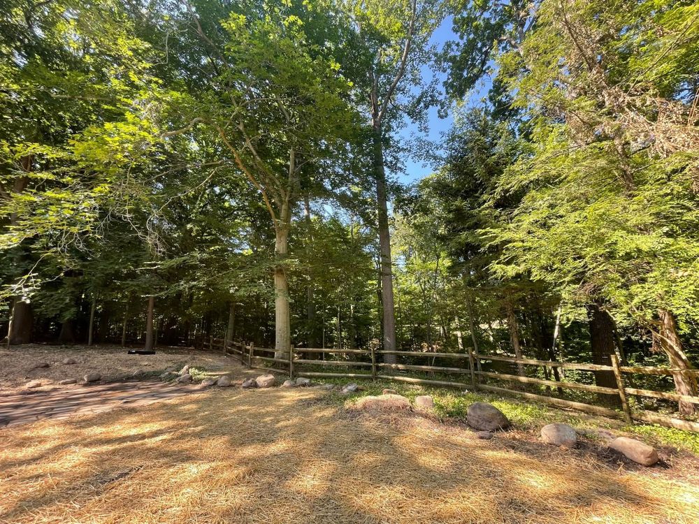 All Photos for Reynoso’s Fencing & Lawn Care in Painesville, OH