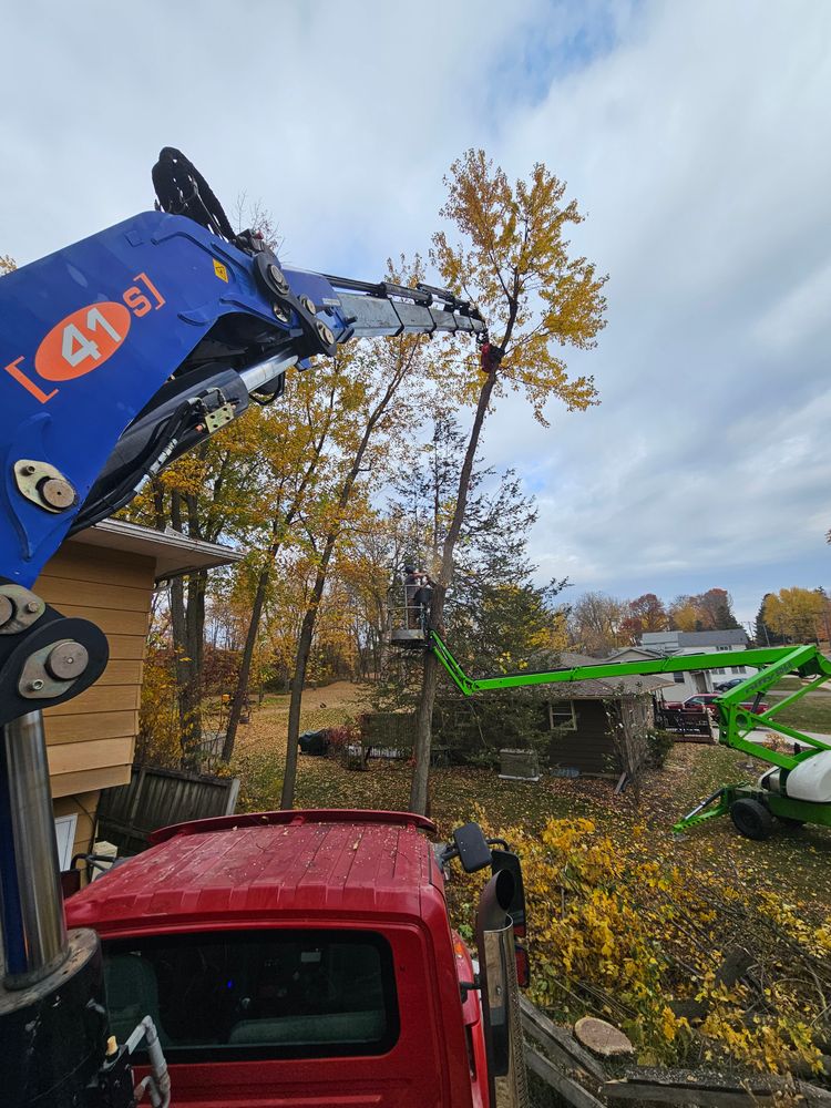 All Photos for Down To Earth Tree Service in Red Wing,  Minnesota